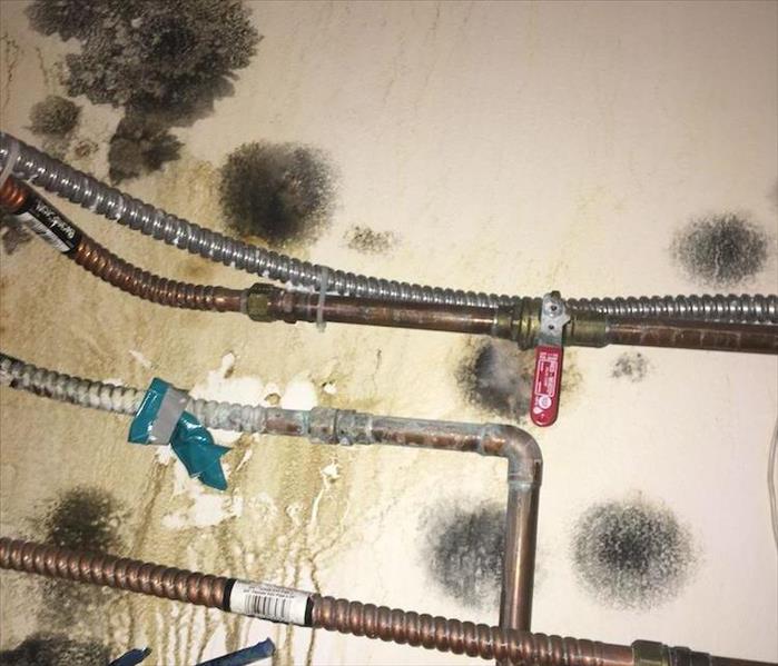 Mold around Pipes